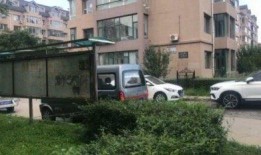 吉林鸿博花园爆料视频最新,揭秘神秘花园背后的故事